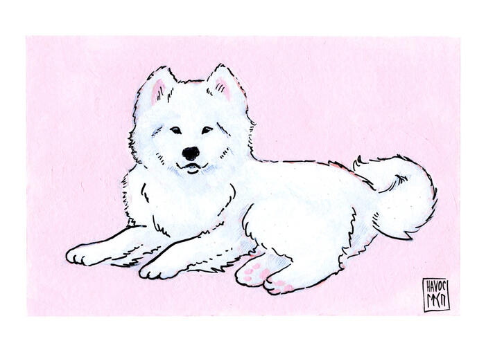 Alba, gouache, pencil