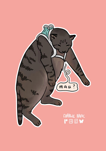 Gnocchi, digital