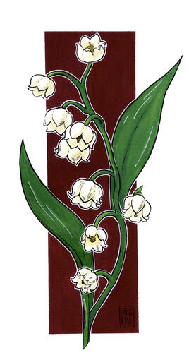 Lily of the Valley, gouache