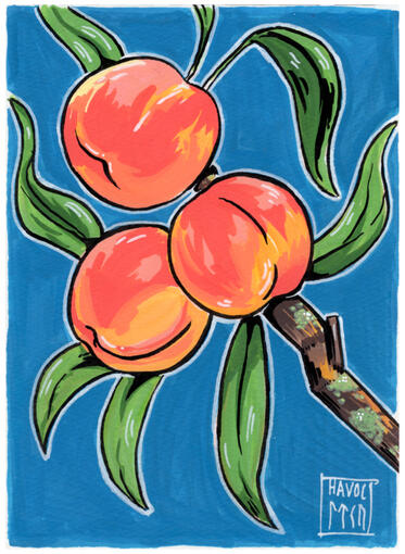 Peaches - Acrylic paint marker