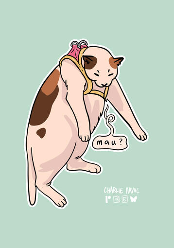 Luna, digital
